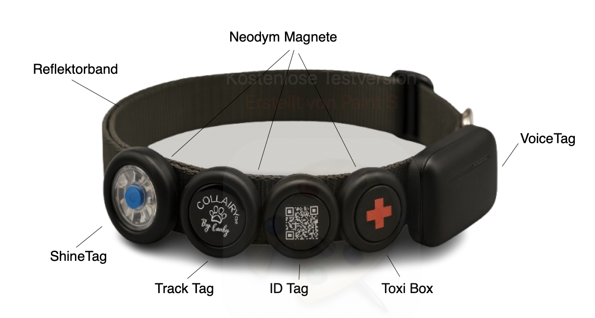 Collairy Smart Collar
