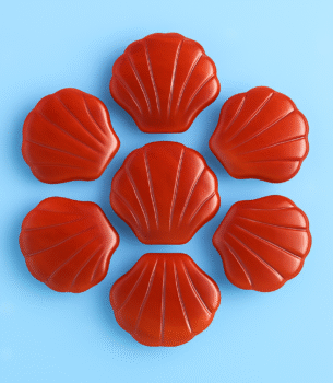 Red Agate Muschel