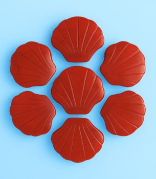 Red Jasper Muschel