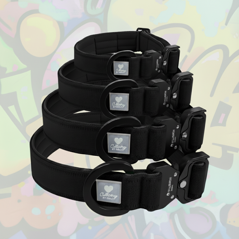 MagCollairy Halsband Schwarz