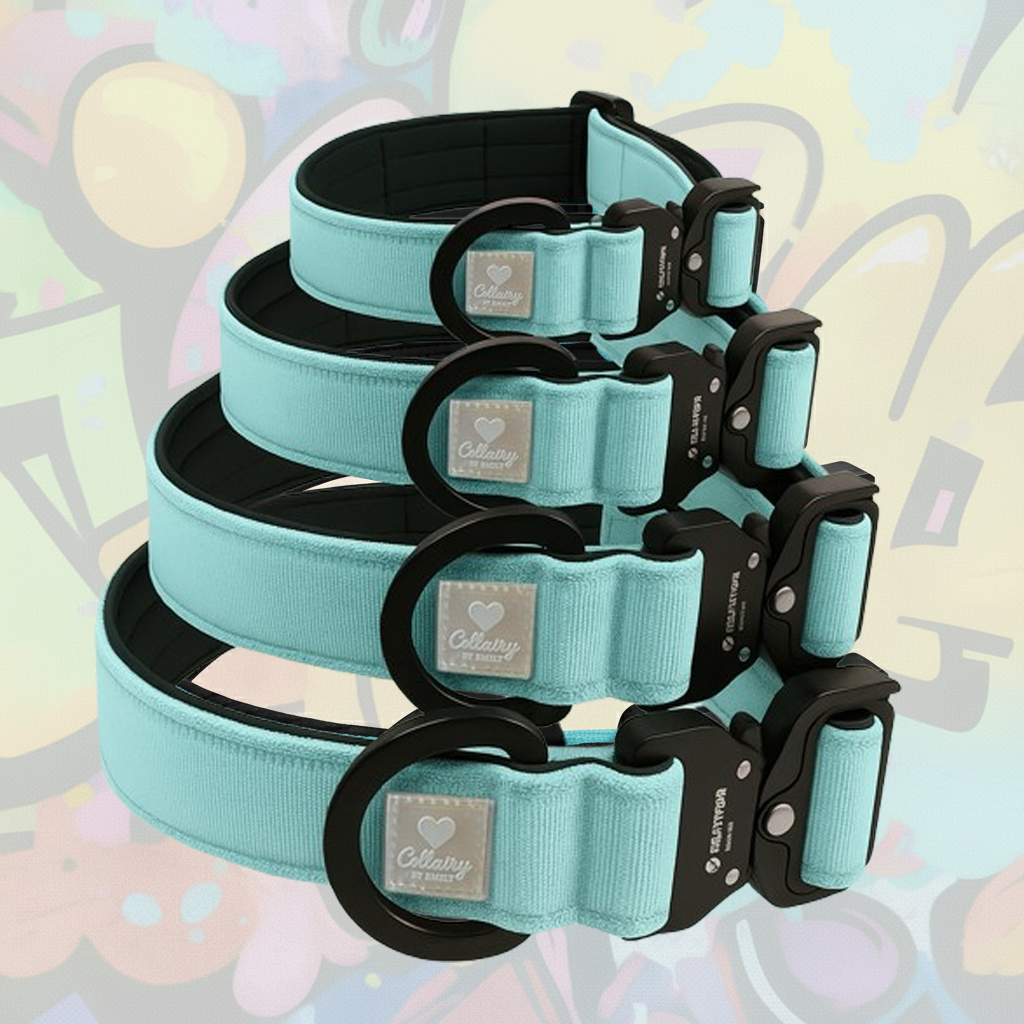 MagCollairy Halsband Türkis