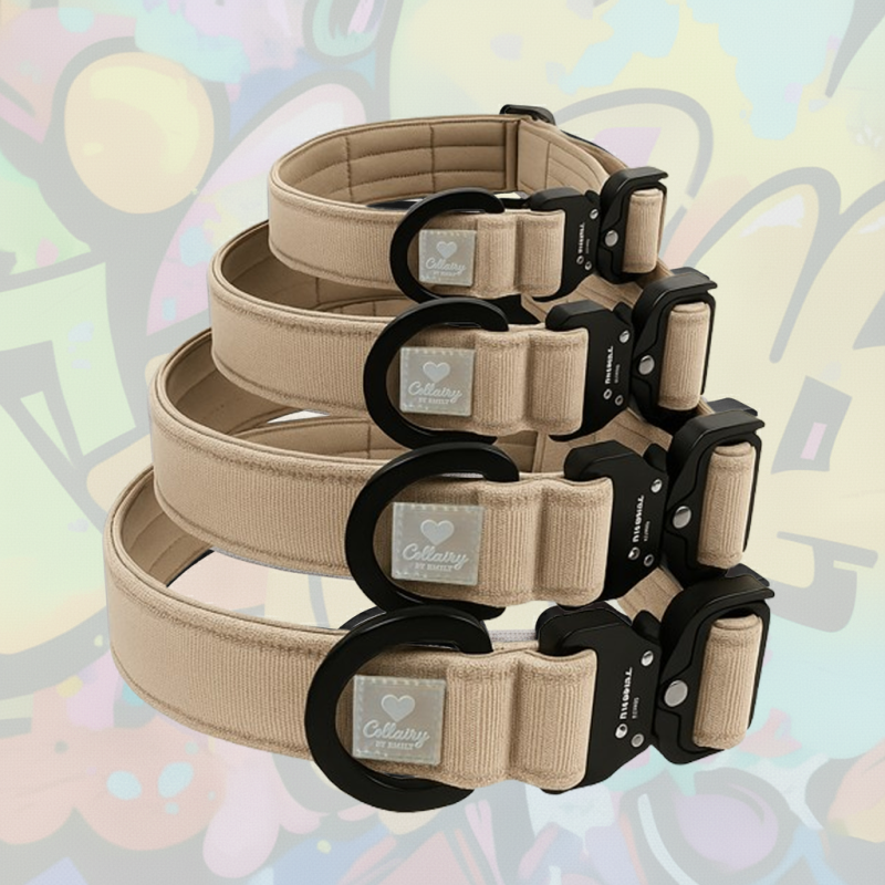 MagCollairy Halsband Blush-Rosa